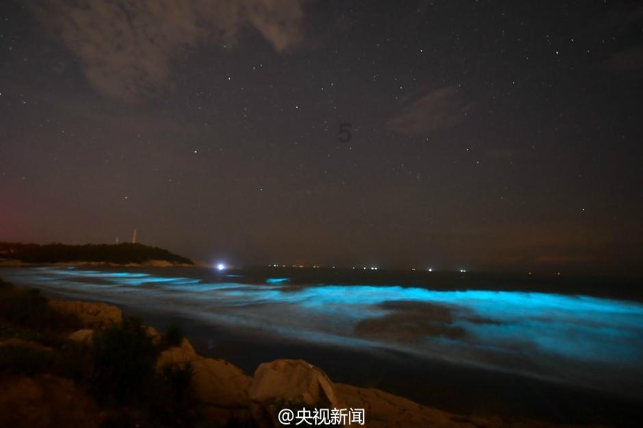 救出被困的老鼠