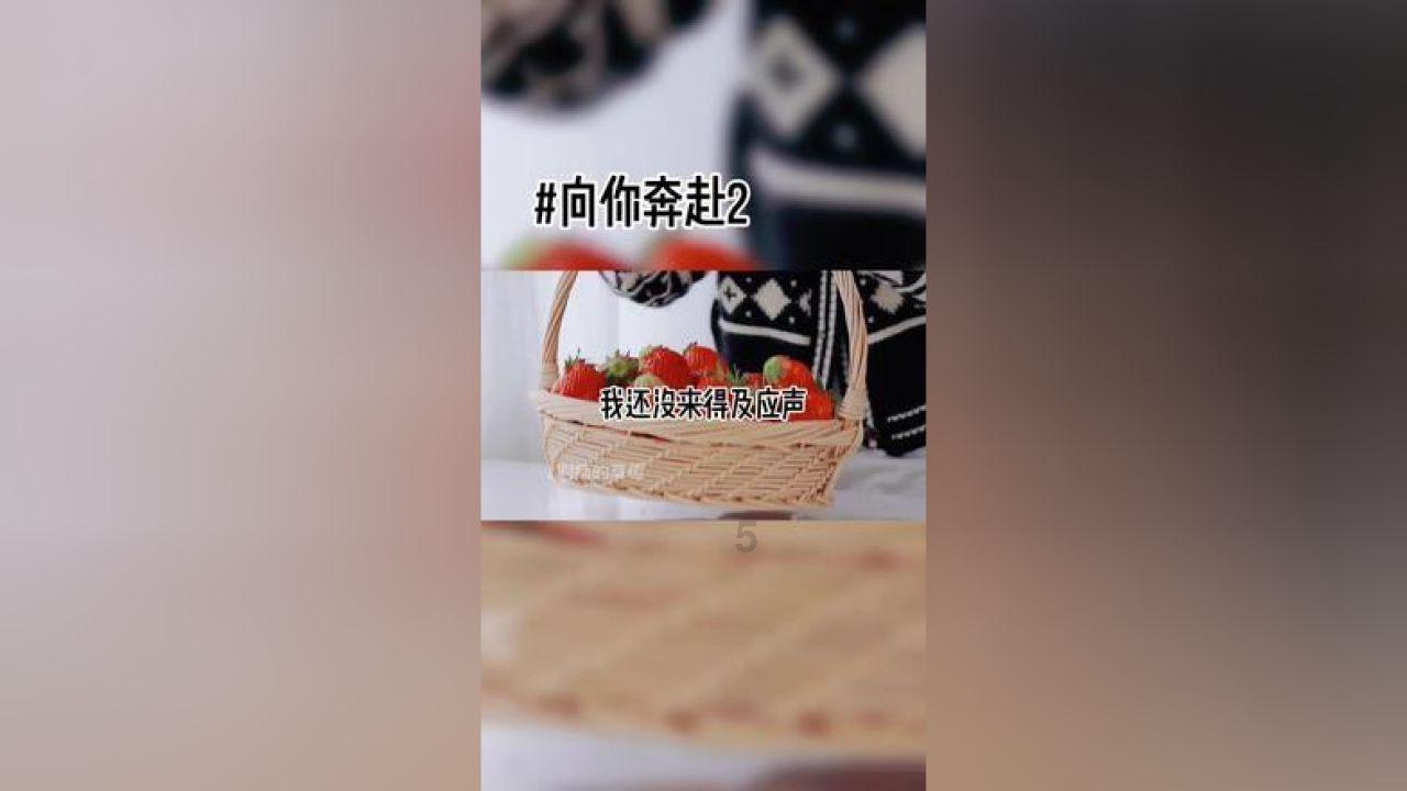 迷路的披萨配送员