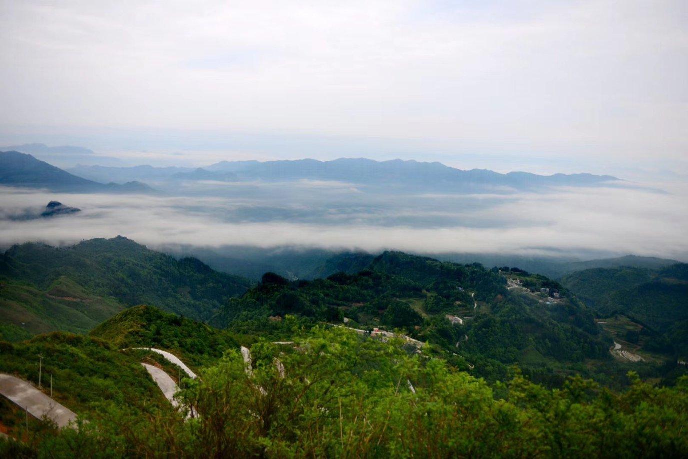 归化政策立竿见影！谷爱凌带伤提世锦赛首金，中国冰雪在世界上的成绩如何？游戏画面