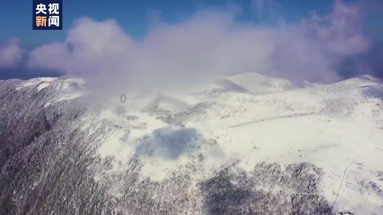 探索未知,问答蜗牛兵猴传奇写作特点