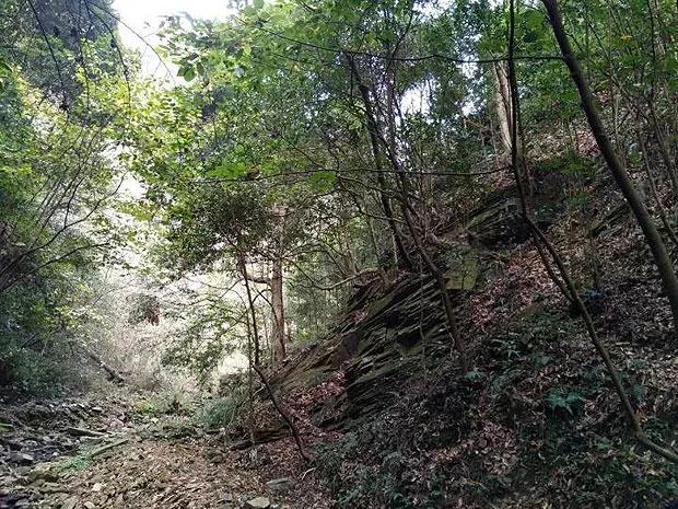 探访河南叶县县衙  感受“古风”之韵