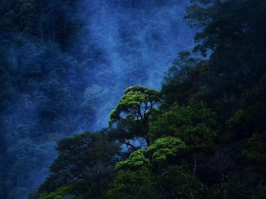 探索知识星球平台——喜欢化学生物选历史好还是物理好?大好机会