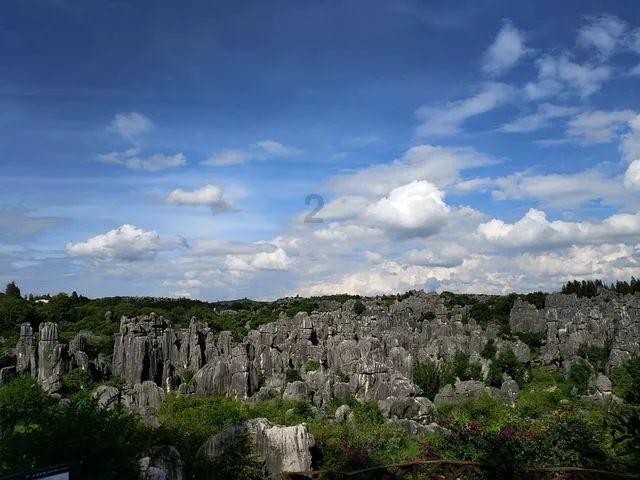 我在上海陪父母选墓地｜三明治