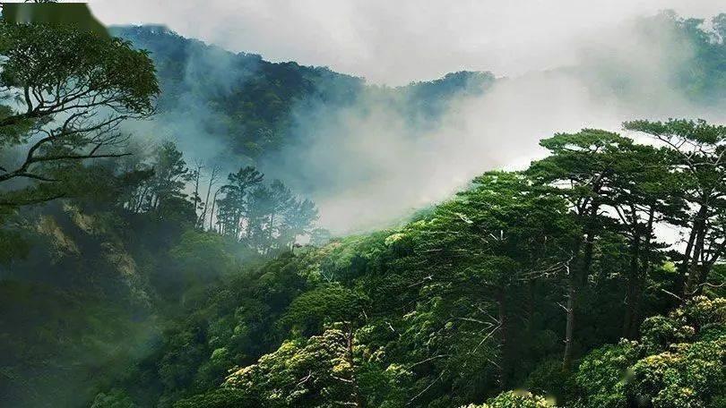 王安石变法彻底失败,为何在教科书中,人们却对王安石评价很高?