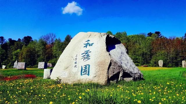 摆动小圆球