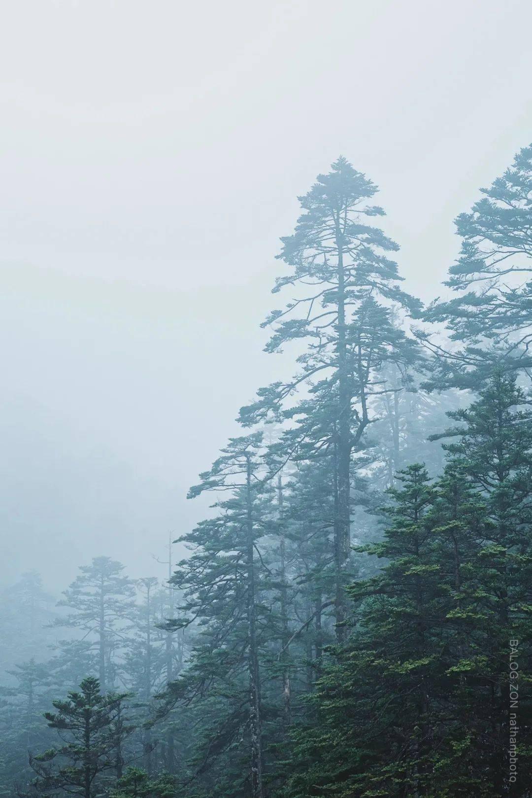 生命的长度和生命的质量，到底哪个更重要？游戏画面