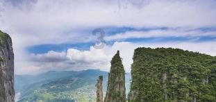 后卫营救