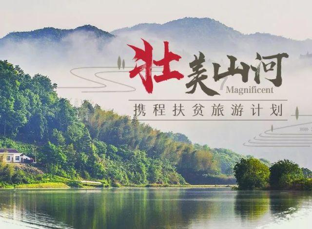 代表委员聚焦“三医协同”：医药行业如何高质量发展？