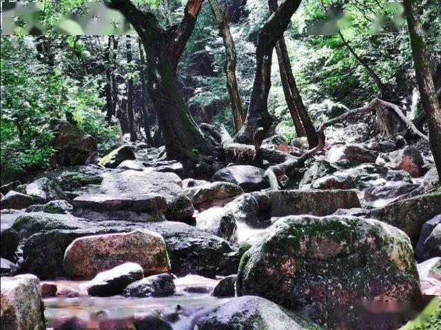 红利基金怎么选?四大选择标准