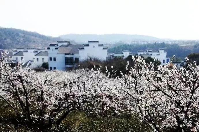 关于征集全省综合行政执法队伍作风纪律问题线索的通告