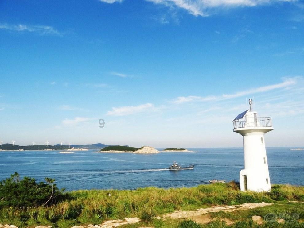 尽在家常牛尾应该怎么做?,专业问答交流平台