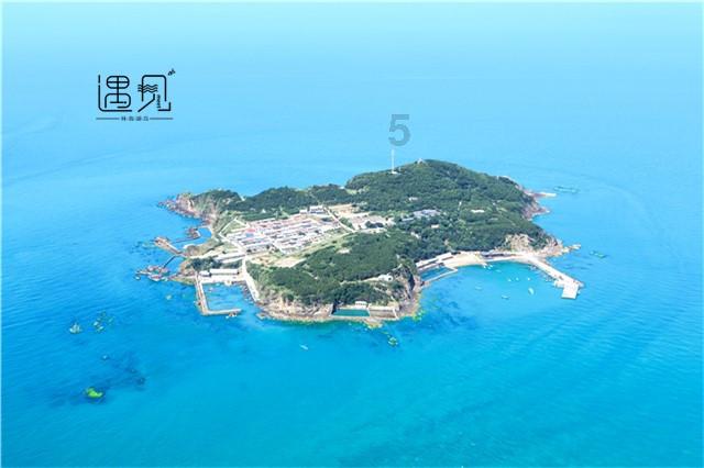 植物大战僵尸5