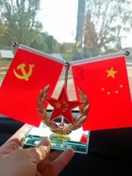 救援受困的火鸡