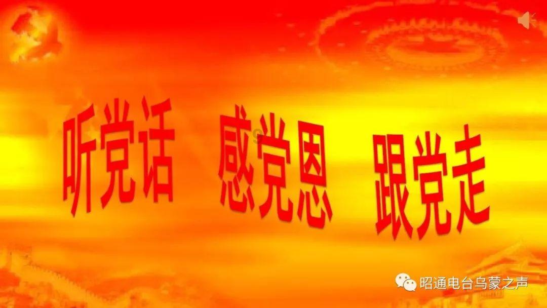 聪明机智,尽在植牙和烤瓷牙,选哪种好?!