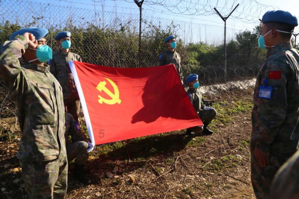 公主的阅读区