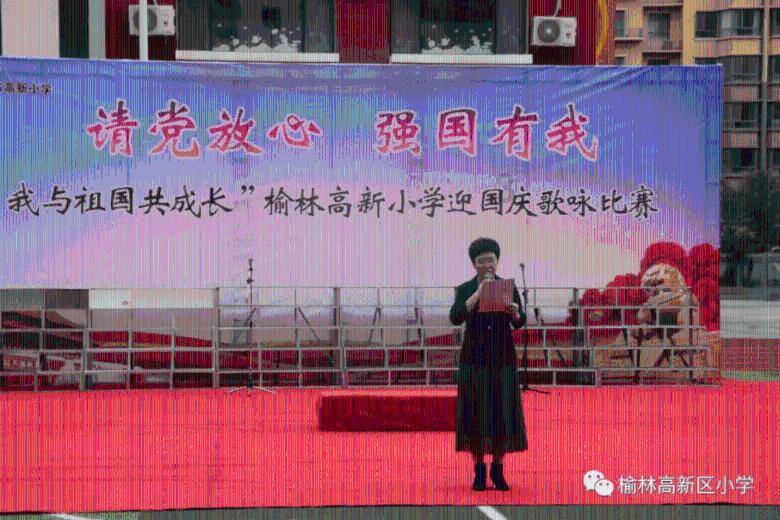 救援白色小猫