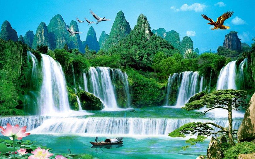 公主的阅读区