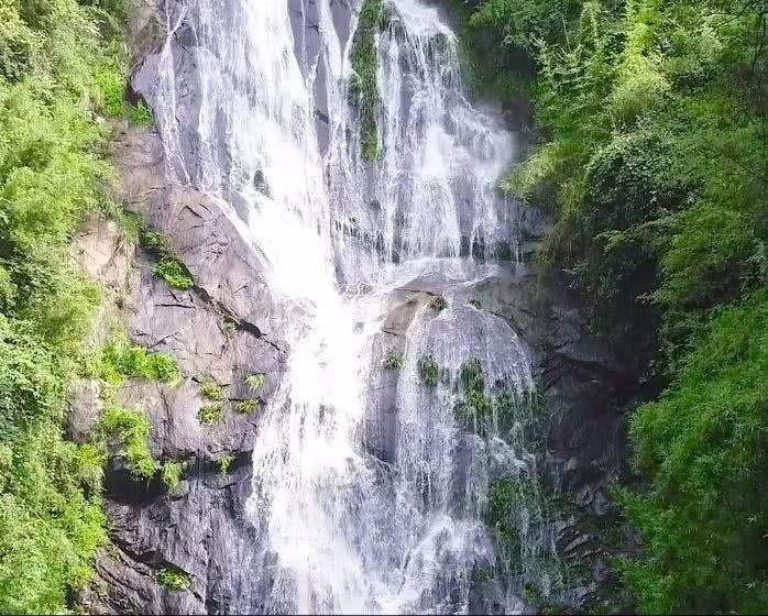 澳洲皮草