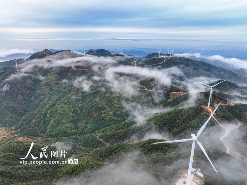 小猫钓鱼游戏龙王版有船
