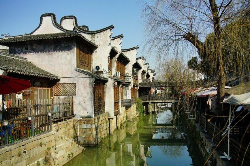 网友称多地动物园存在“猫猴共处”：有园方称为了抓老鼠，还有园方称是野猫找吃的