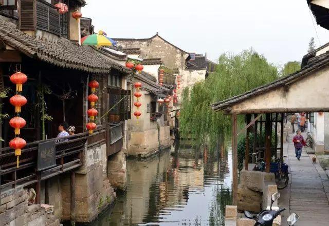 拯救蝙蝠家族