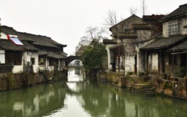 美人鱼的聚会
