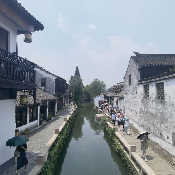 肖战出席中国电视剧年度盛典,鎏金艺术印花西装,华丽贵公子