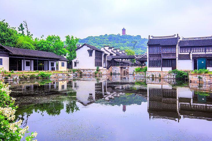虎胆熊威2中文版