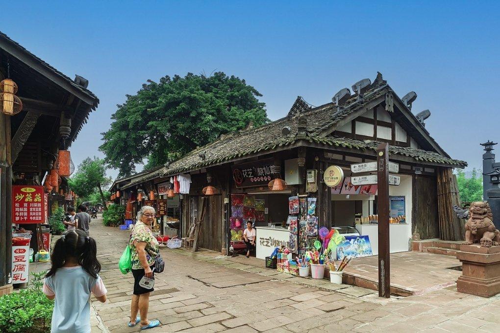 逃离天鹅森林