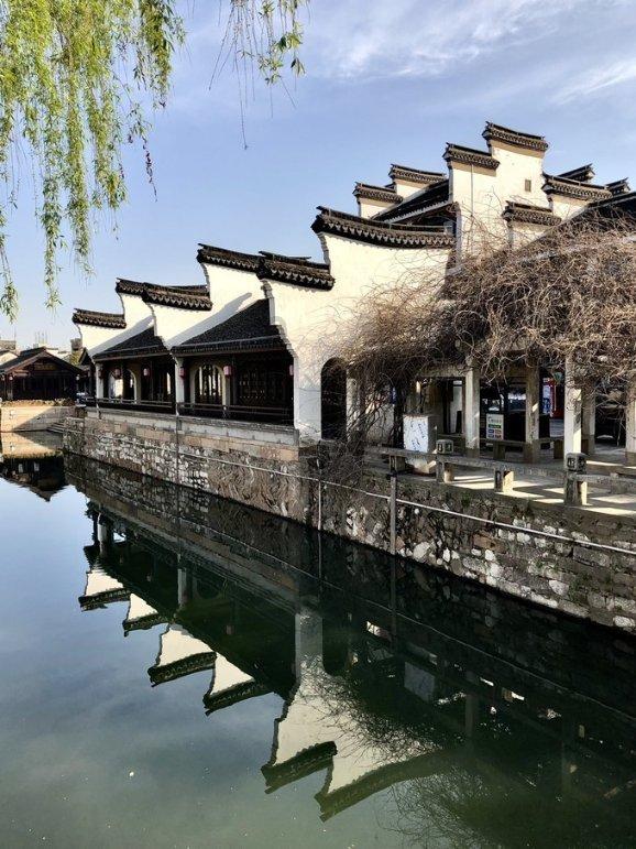 胆固醇是一种脂类物质，它在人体中起着重要的生理功能