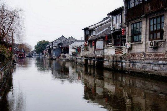 饥饿的松鼠救援