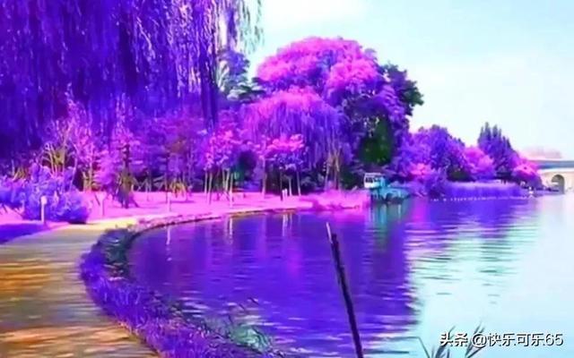 探寻天涯问答交流平台师范生怎么考教师资格证?