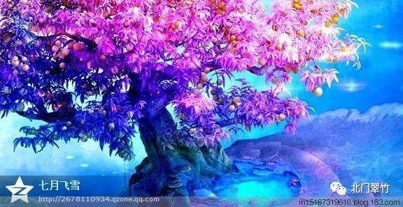 奔跑吧兄弟第四季