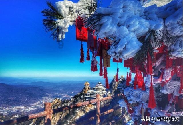 被别人说长得丑丑怎么办？游戏画面